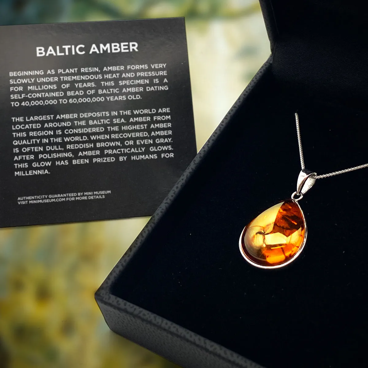 Baltic Amber Pendant Necklace